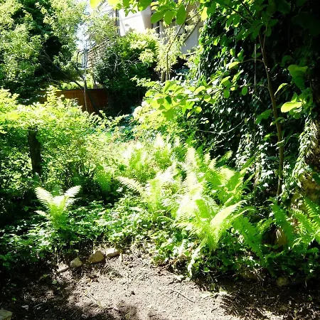 Apartamento Blossoming Hidden Nest With Garden